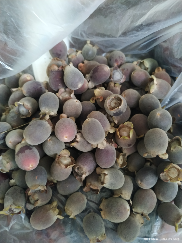 又到了吃这个野果子的季节了好吃