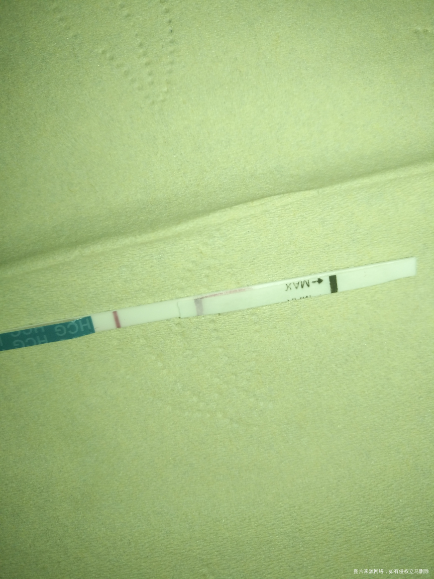 现在是移植冻胚第五天了