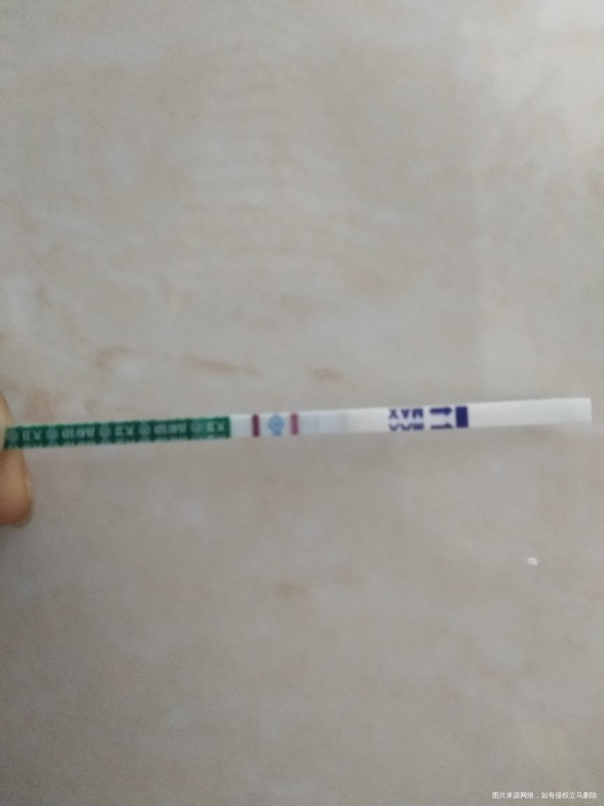 我怀啦 | 备孕三个月了,终于怀上了