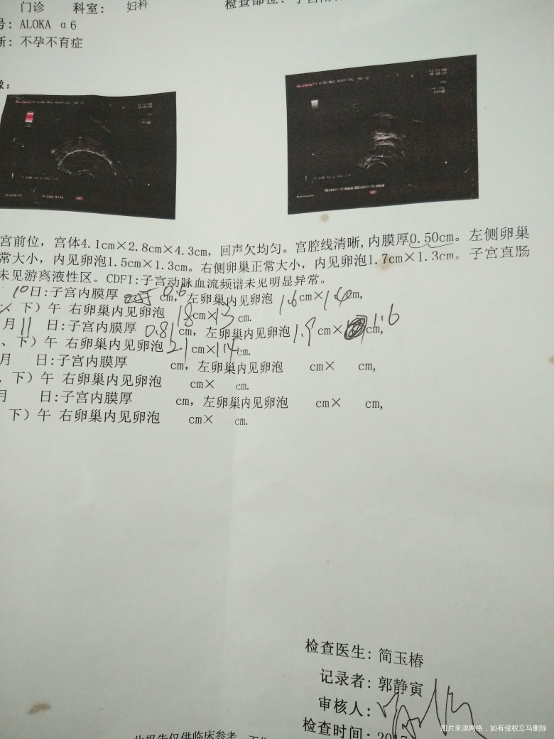 促排的小姐妹们卵泡慢可以吃黑豆。