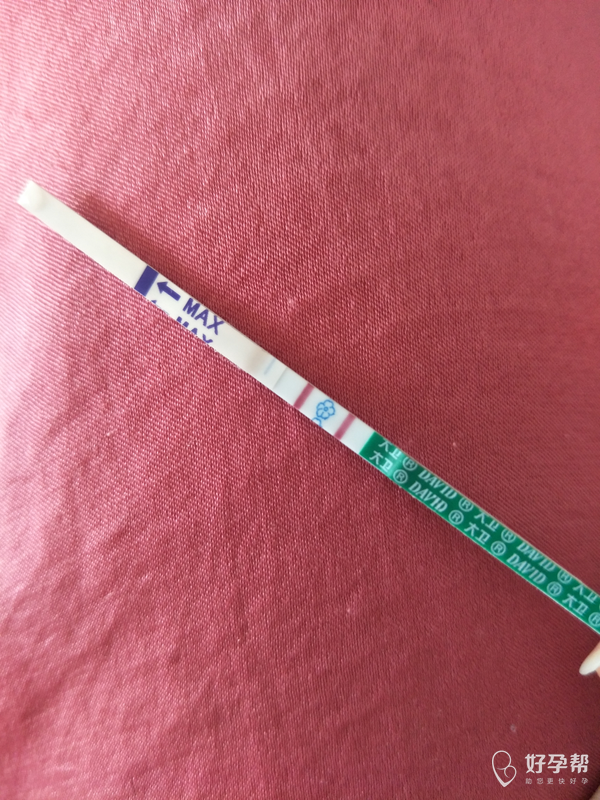比对照线都深,宝宝你好棒-早早孕-备孕交流论坛-好孕帮