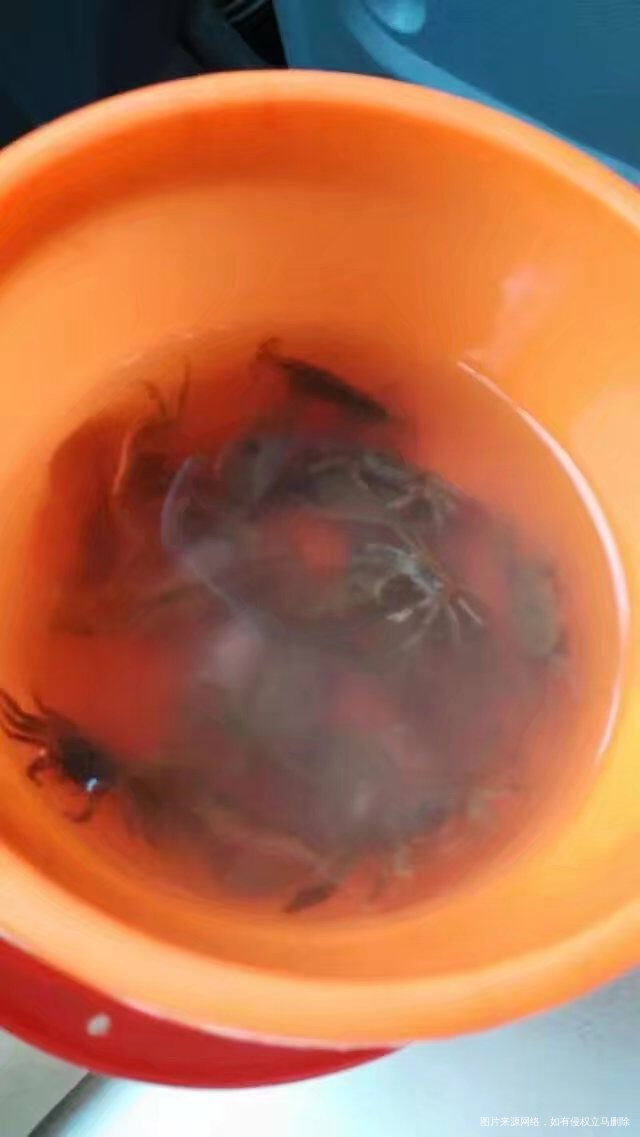 【致闺蜜】亲爱的你,要幸福