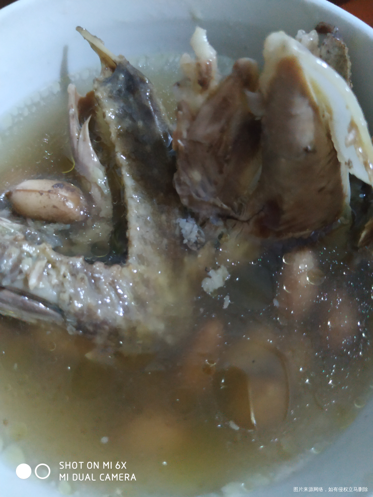 煲了个鸽子汤娘俩一人一个腿一个翅