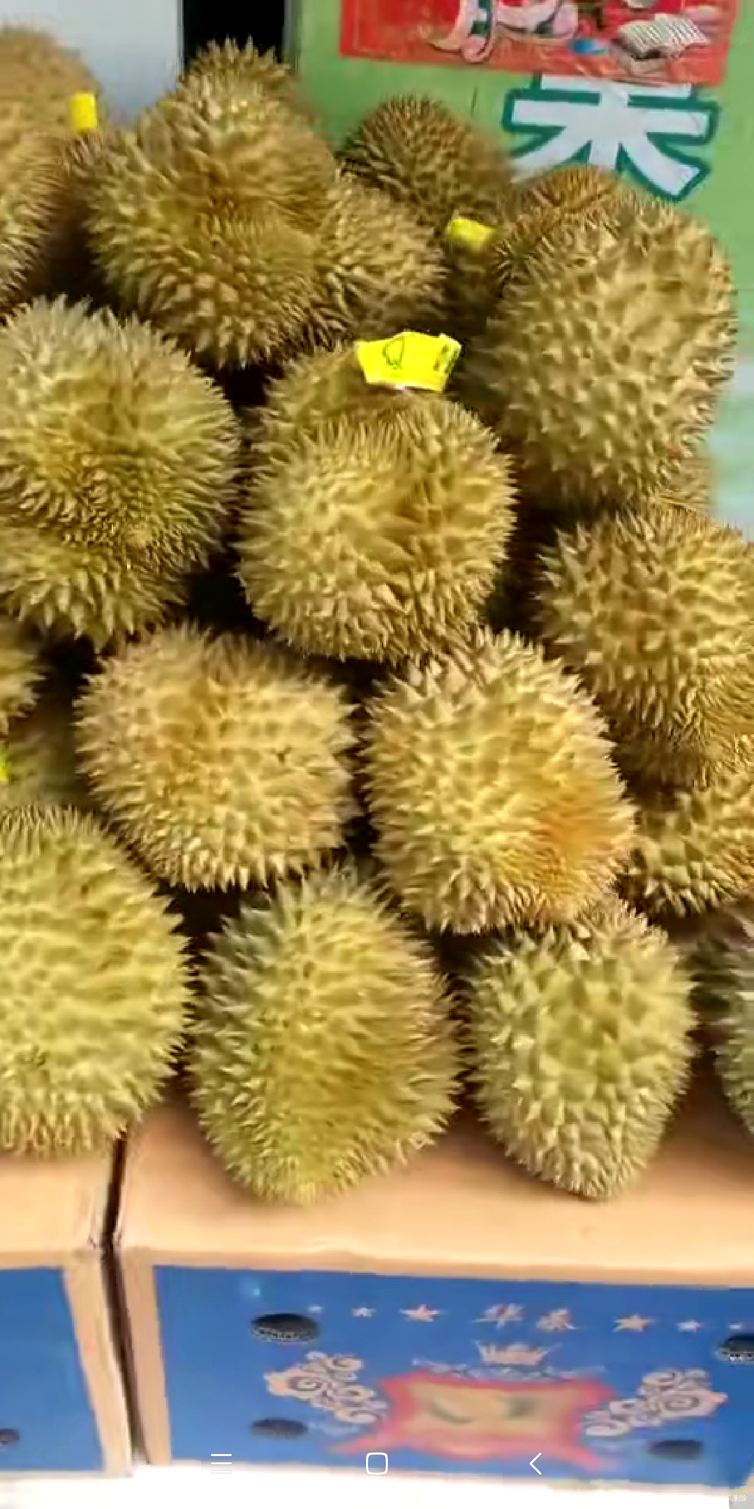 楼下水果店榴莲做活动48一个!大小中等一个肉多