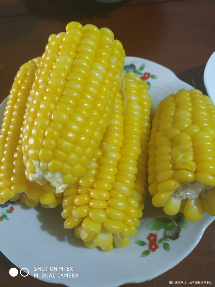 做了自己爱吃青椒南瓜杆,玉米