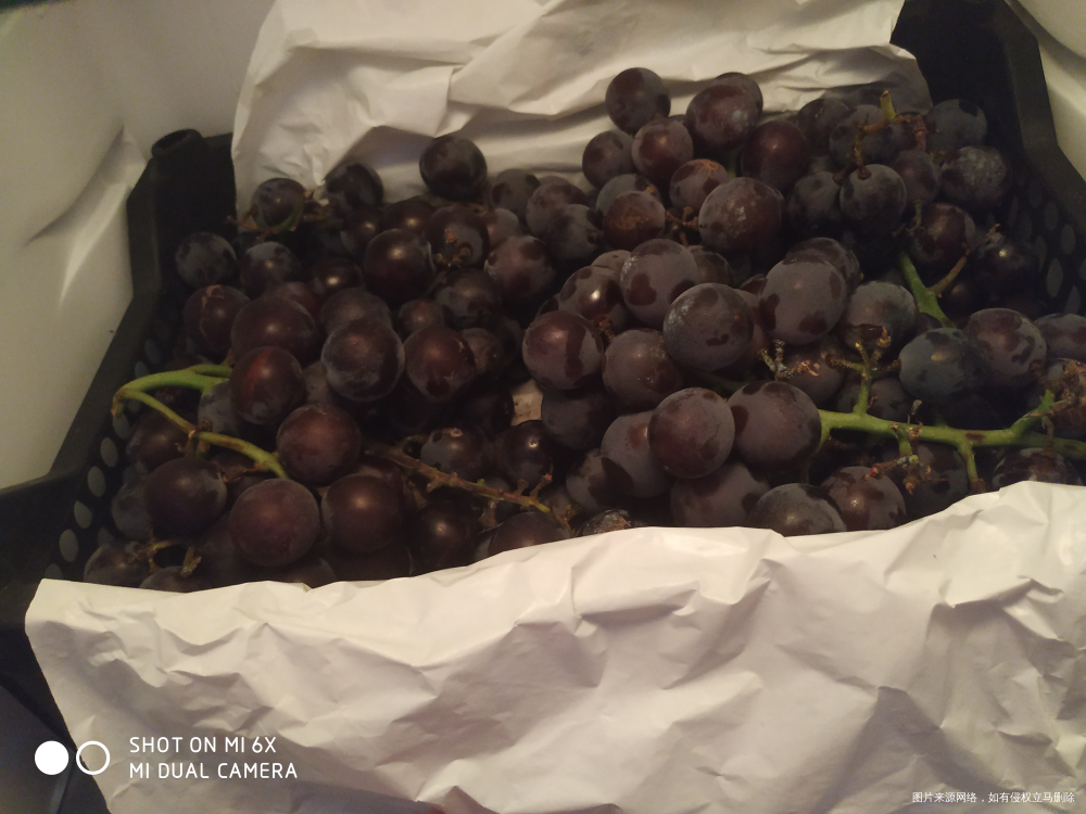 想家怎么心情闷闷不乐晚上老公带我去市刷零食了