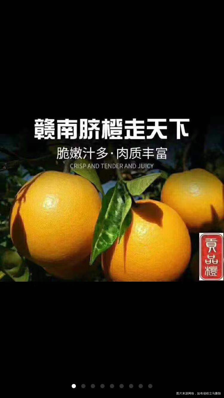 从今天开始帮忙卖家乡脐橙了,就不会那么闲无聊了