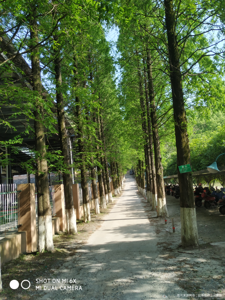 没错孩子需要个快乐妈妈不是多厉害妈妈😂