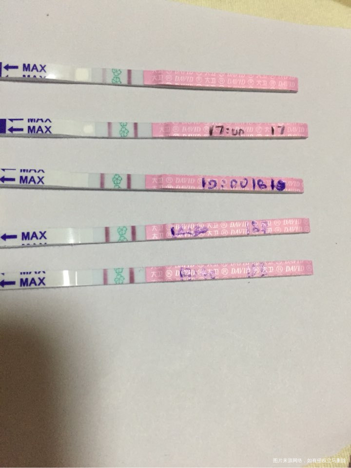 有没我末次11.4号,18-19号排卵的