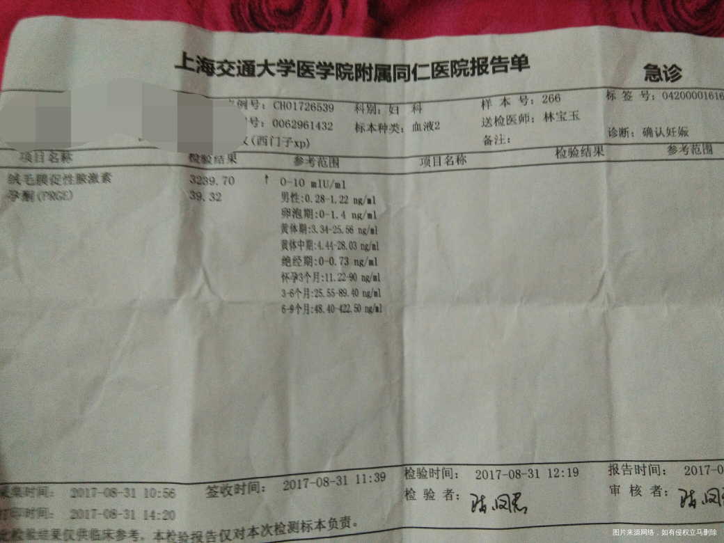 医生让52天做阴超看胎心胎芽,会不会伤害到宝宝