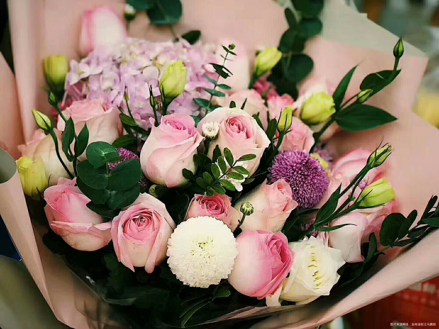 【感恩有你】因为有你们,我很幸福