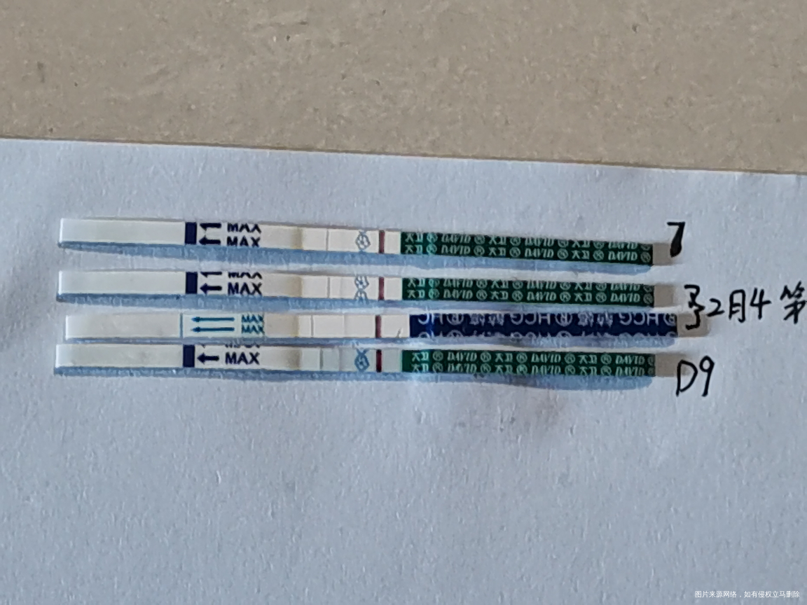 试管移植第9天,朋友们一起加油