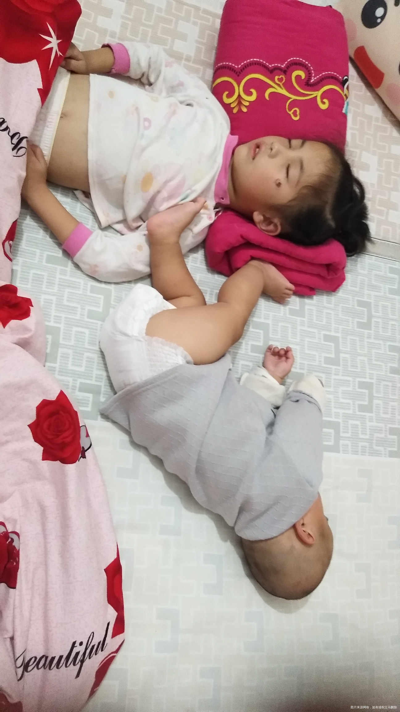 看看我还没有睡觉,都成啥样了,等到睡着他们咋办(・o・)