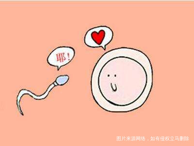 【备孕圈七月活动】我的各种排卵监测