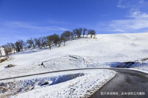 #我的家乡美景#美丽天津我的家