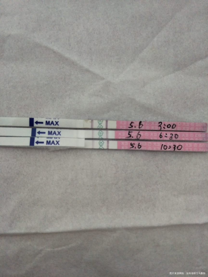 大家赶紧围过来,看看看