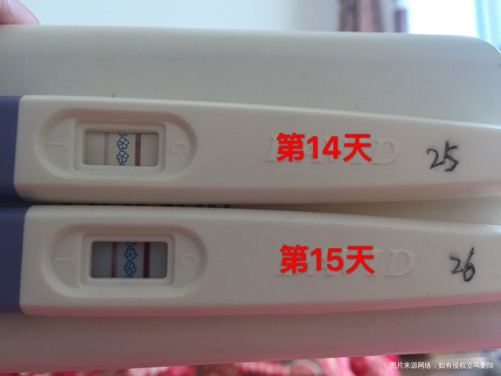 【我怀啦】11号移植两枚鲜胚,25号官方好孕,好开心