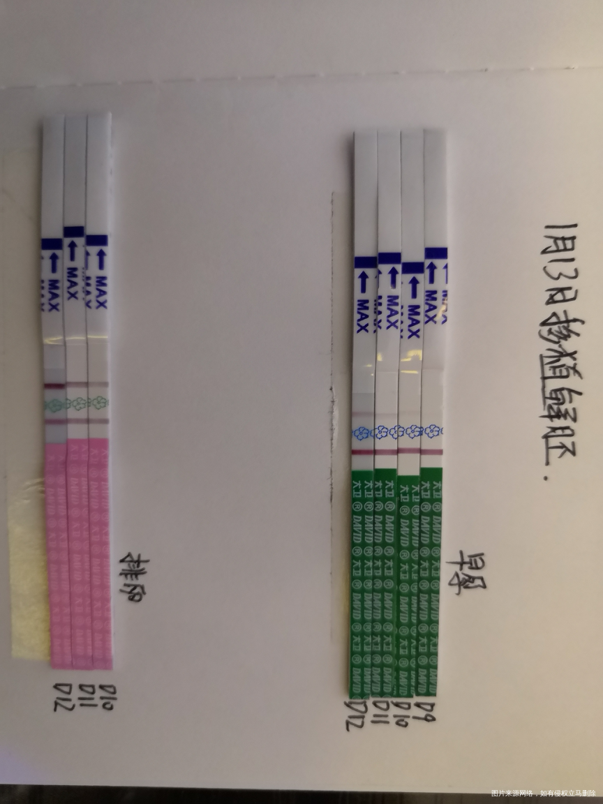 13号移植鲜胚,这几天测的情况,加深有点慢呀