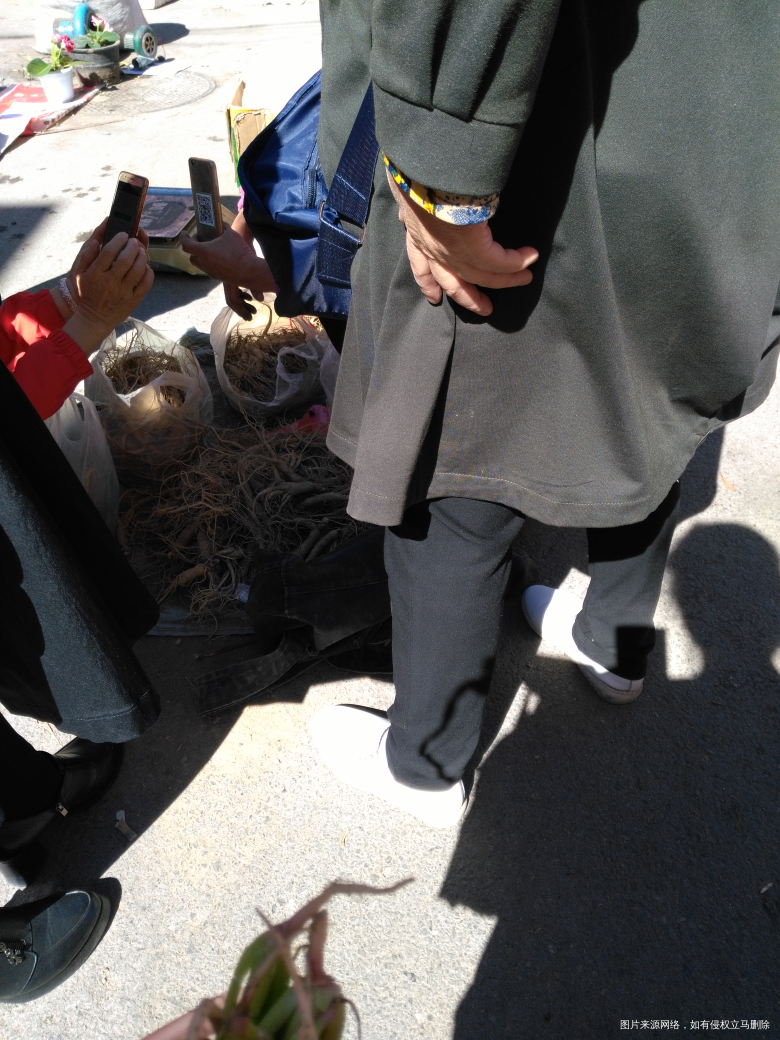 今天赶集,看见好多卖人参的