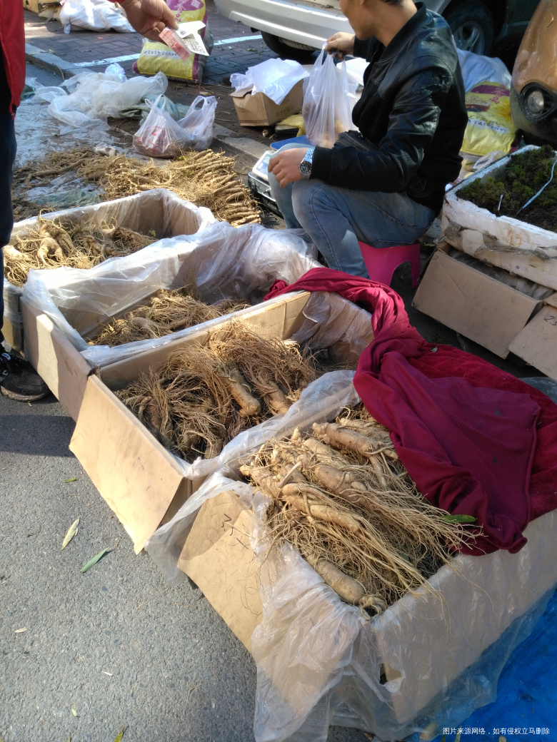 今天赶集,看见好多卖人参的