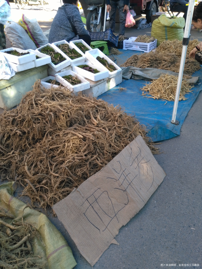 今天赶集,看见好多卖人参的