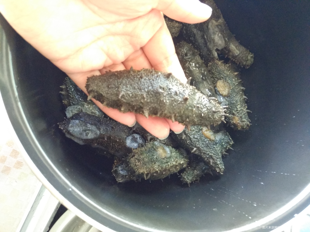 我爸给我拿了好多海参