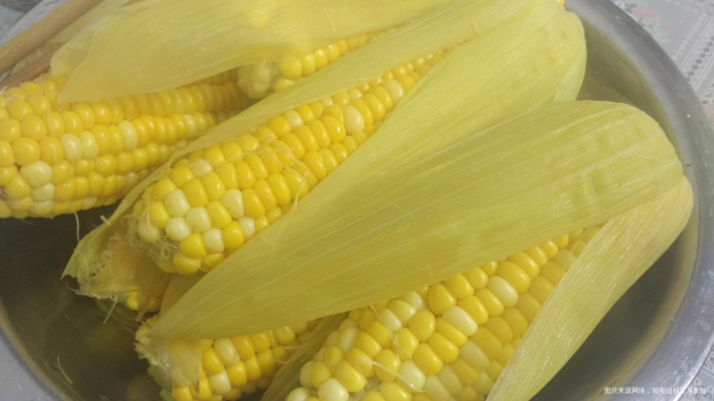 网上买了点鲜玉米,很好吃