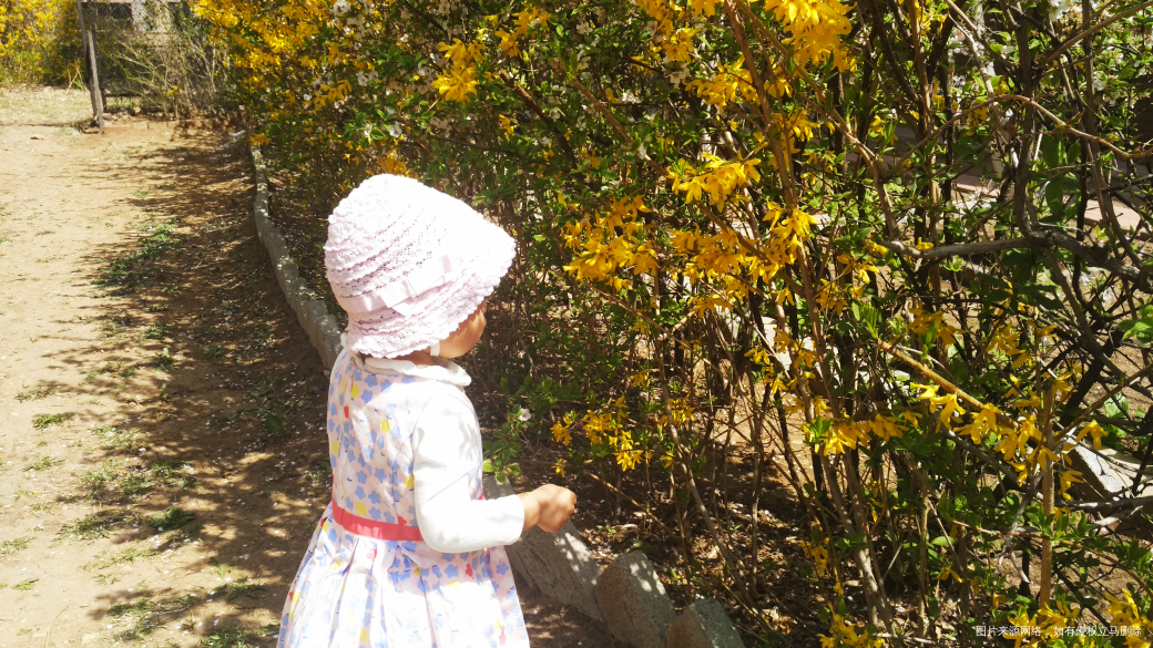 春暖花开,带着娃出去玩