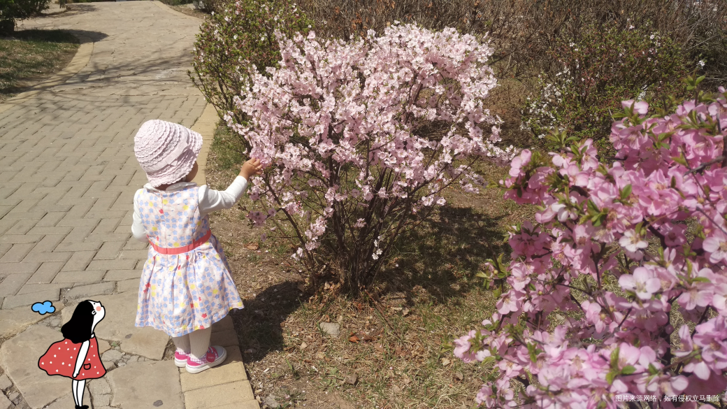 春暖花开,带着娃出去玩