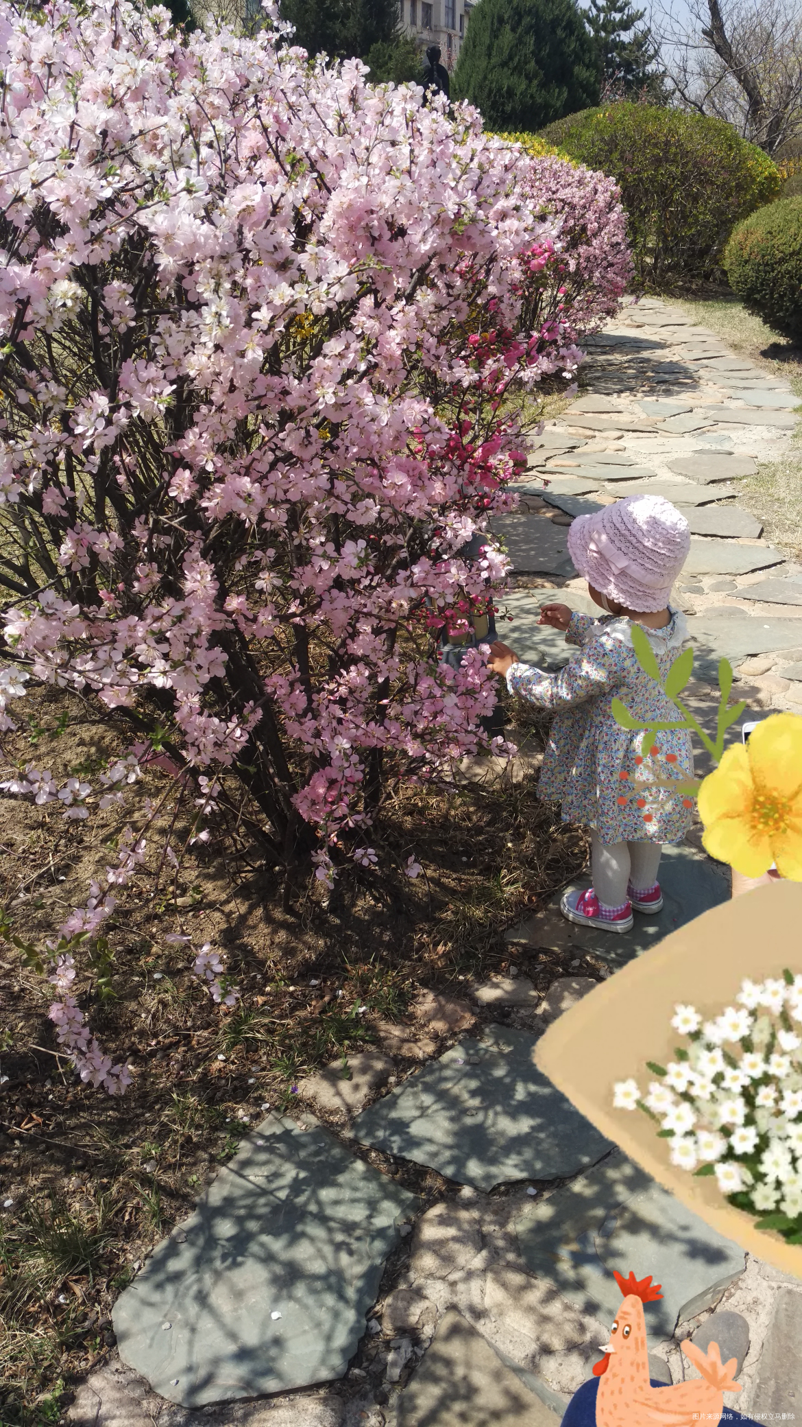 春暖花开,带着娃出去玩