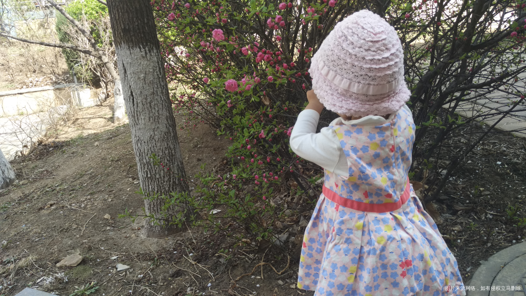 春暖花开,带着娃出去玩