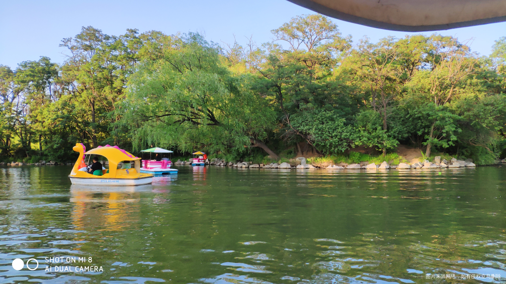 吃饱喝足,带着娃出来划船