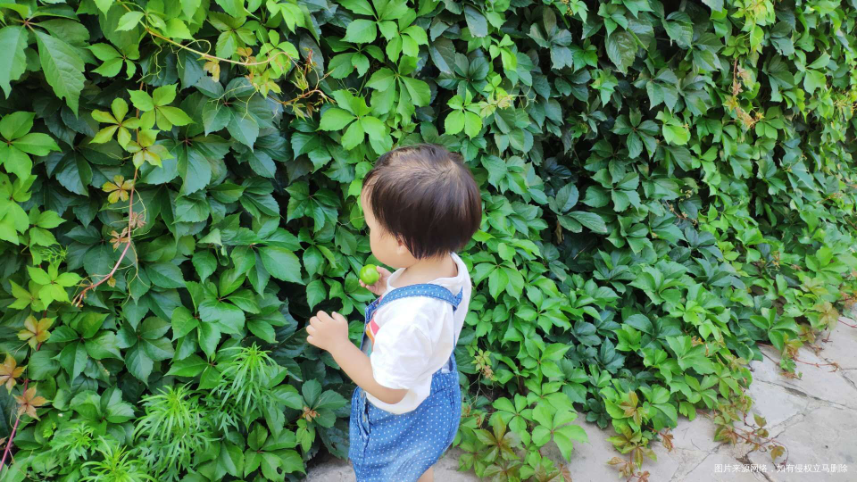 今天带娃去姨家玩了一天,晚饭吃的