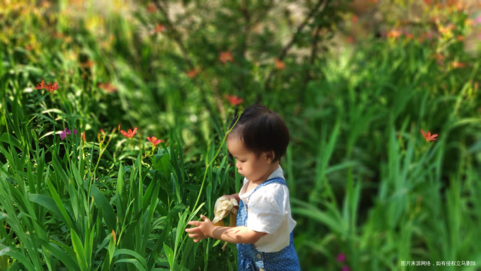 今天带娃去姨家玩了一天,晚饭吃的