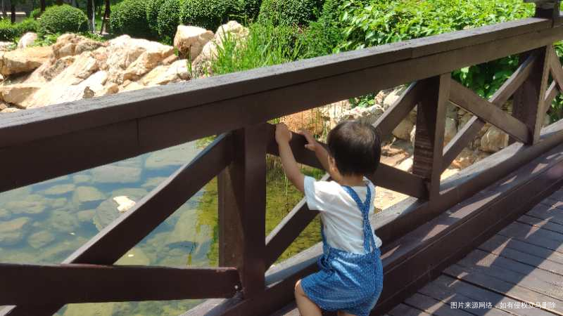 今天带娃去姨家玩了一天,晚饭吃的