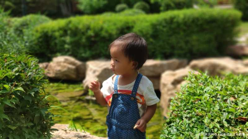 今天带娃去姨家玩了一天,晚饭吃的