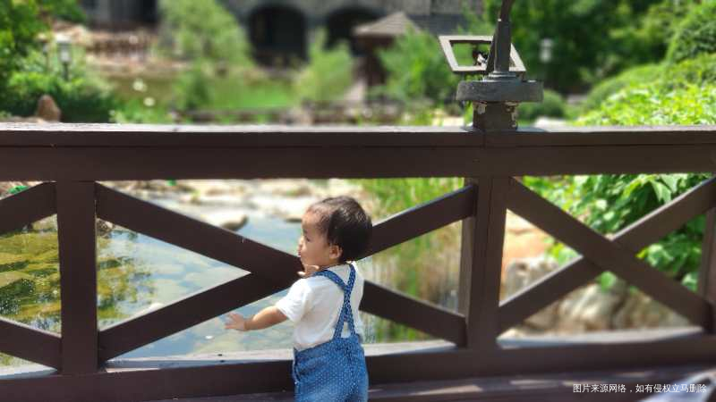 今天带娃去姨家玩了一天,晚饭吃的