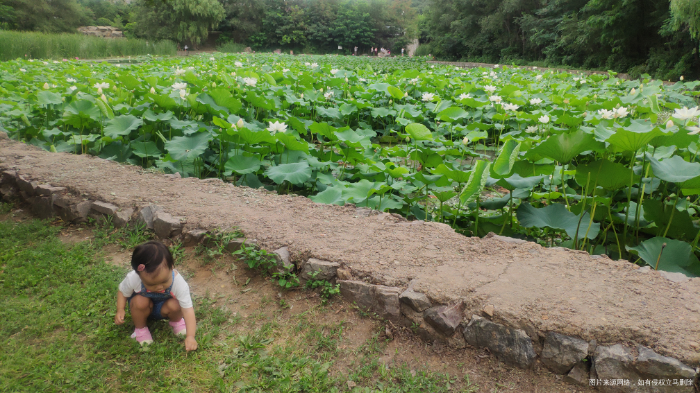 吃完早饭,就全家出游去了