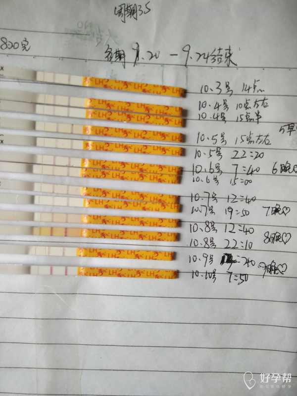今天不知道怎么了,老是不顺,温度计也不小心摔坏了,今天预测是排卵日