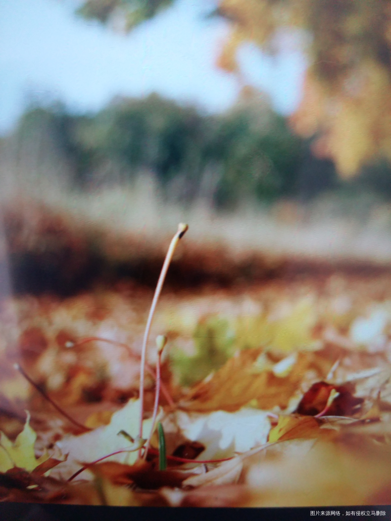 【我的父亲】人无完人 宽容与爱