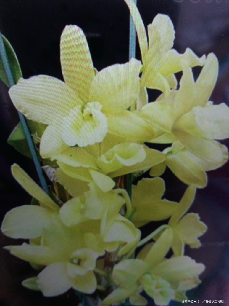 【我的父亲】人无完人 宽容与爱