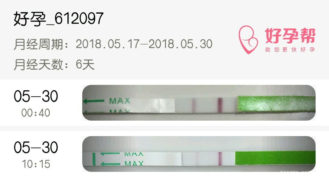 姐妹们我这是已经排卵了吗?