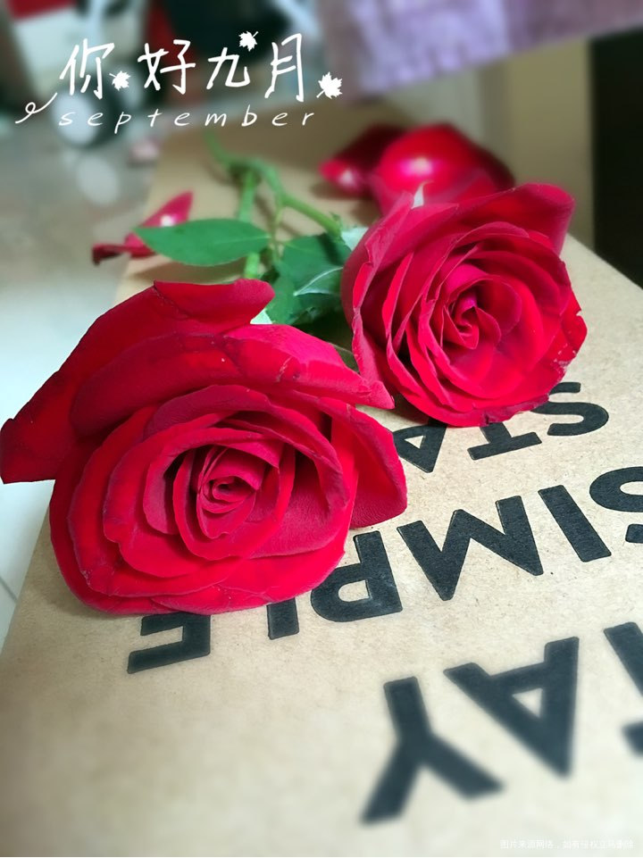 【生活感悟】你需要好好爱自己