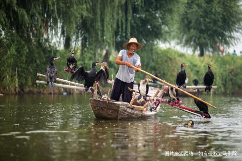 #我的家乡美景#华北明珠白洋淀欢迎你