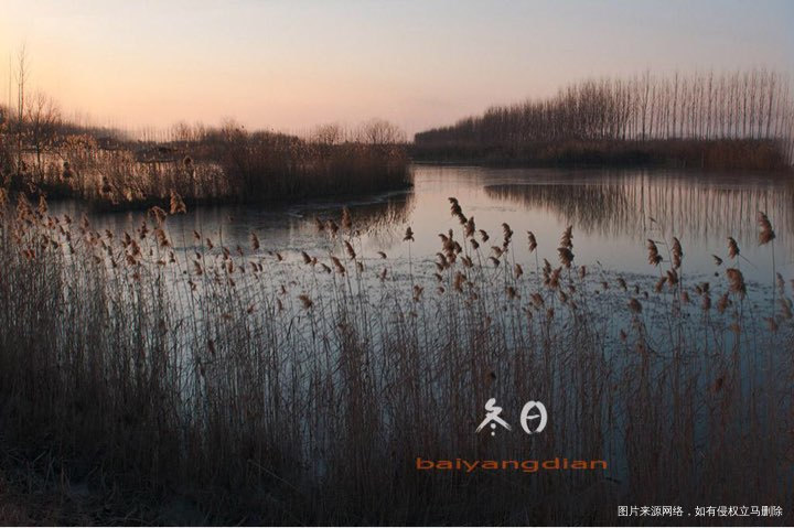 #我的家乡美景#华北明珠白洋淀欢迎你