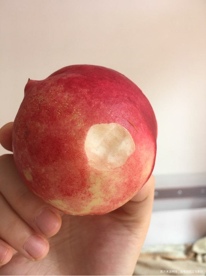 宝宝吃着桃子抱着就睡着了