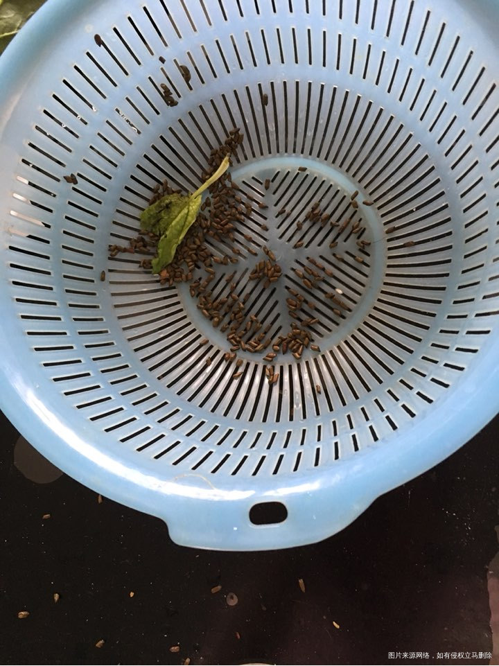 我就炒个菜的功夫回来客厅就这样了