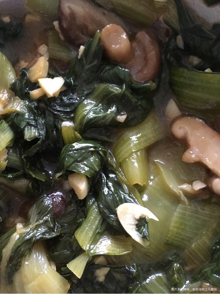 昨天买的油菜今天早上和香菇