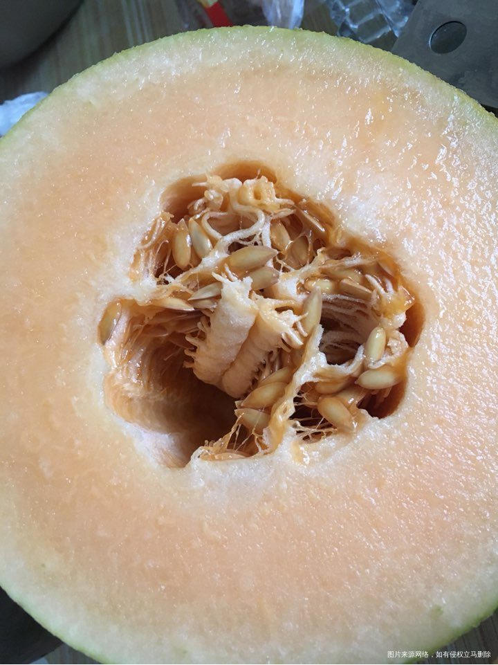 今天切的哈密瓜真的挺不错