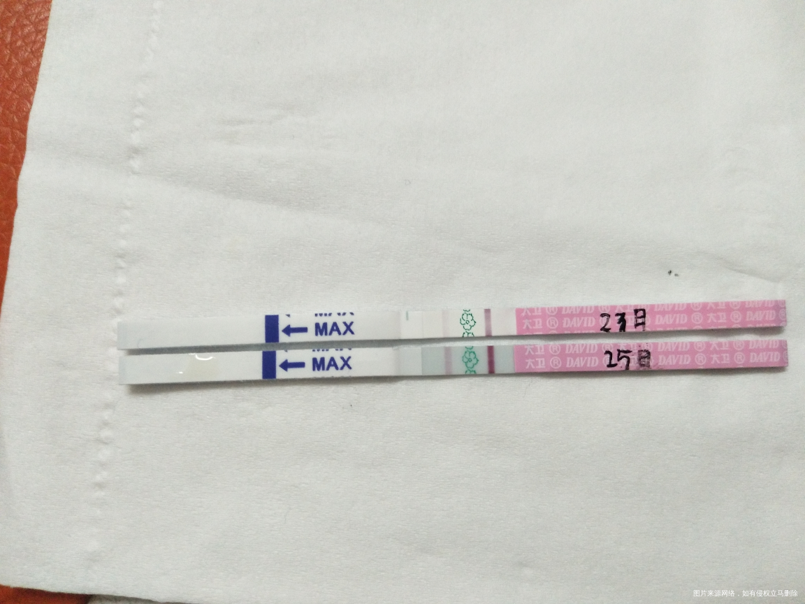 15号排卵,排卵试纸这样弱弱,有没希望